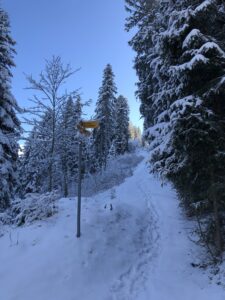 Winterwanderweg mit Wegweiser Richtung Heiligenschwendi – verschneite Route zur Blueme
