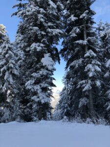 Dicht verschneiter Bergwald oberhalb von Heiligenschwendi – Winterwanderung im Berner Oberland