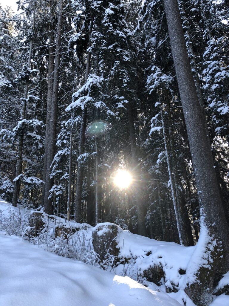 Sonnenlicht im verschneiten Wald bei Heiligenschwendi – stimmungsvolle Winterwanderung zur Blueme
