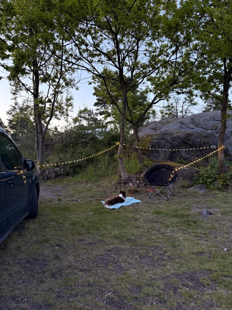 Hund liegt angebunden auf einer Decke am Campingplatz bei Abendstimmung – Vanlife mit Hund
