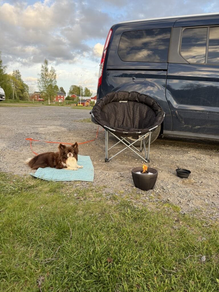 Hund entspannt auf Decke neben Campingstuhl und Feuer – Camping mit Hund und Verantwortung