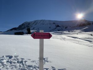 Pinkfarbener Winter-Wanderwegweiser in tief verschneiter Alpenlandschaft mit Sonne und Bergpanorama