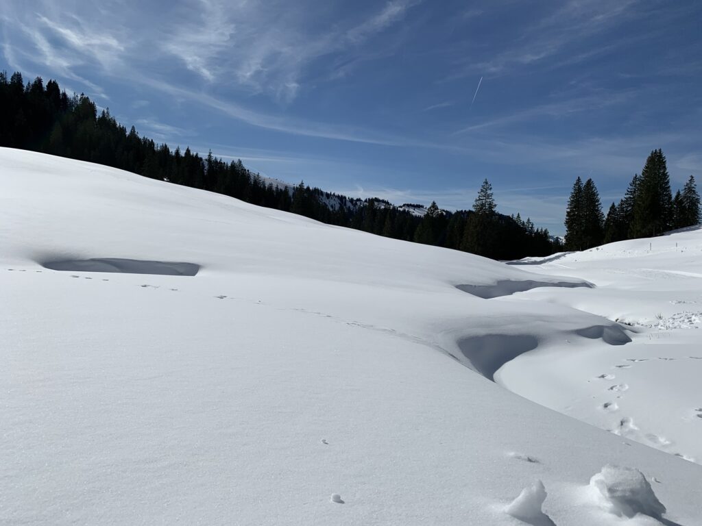 Unberührte Schneelandschaft auf der Lombachalp mit Wald im Hintergrund