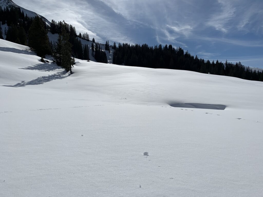 Sanfte Schneewellen auf der Lombachalp bei sonnigem Winterwetter