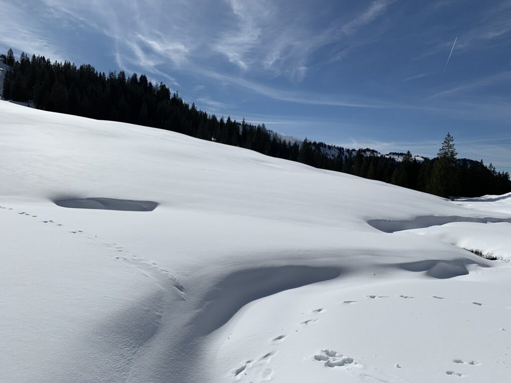 Sanfte Schneewellen auf der Lombachalp bei sonnigem Winterwetter