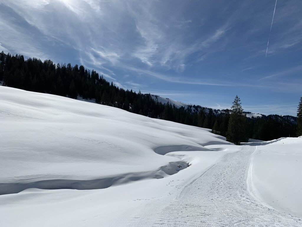 Präparierter Winterwanderweg auf der Lombachalp durch verschneite Hügellandschaft
