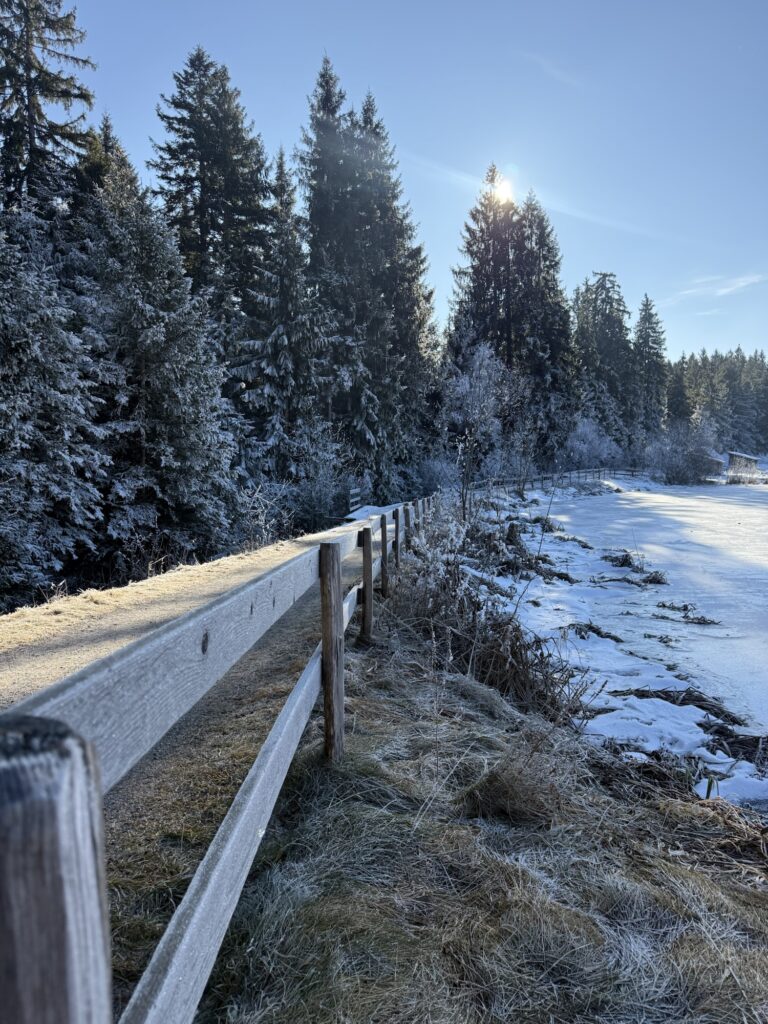 Winterliche Landschaft mit Holzzaun beim Wandern in der Schweiz – ruhiger Berner Wanderweg im Morgenlicht