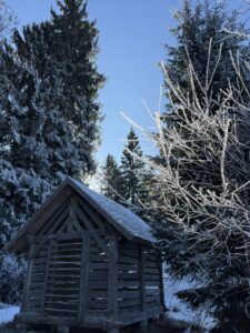 Kleine Holzhütte im verschneiten Wald beim Winterwandern in Bern – stimmungsvolle Szene entlang eines Berner Wanderwegs