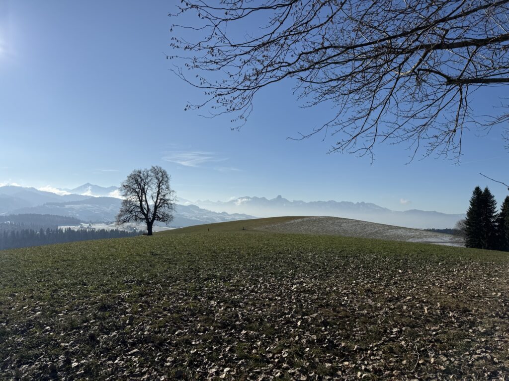 Sanfte Hügellandschaft mit Blick auf die Berner Alpen – entschleunigtes Wandern in der Schweiz auf Berner Wanderwegen