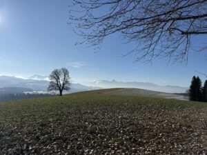 Sanfte Hügellandschaft mit Blick auf die Berner Alpen – entschleunigtes Wandern in der Schweiz auf Berner Wanderwegen