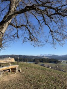 Rastplatz mit Holzbank und Weitblick beim Wandern in Bern – ruhiger Berner Wanderweg mit Alpenpanorama