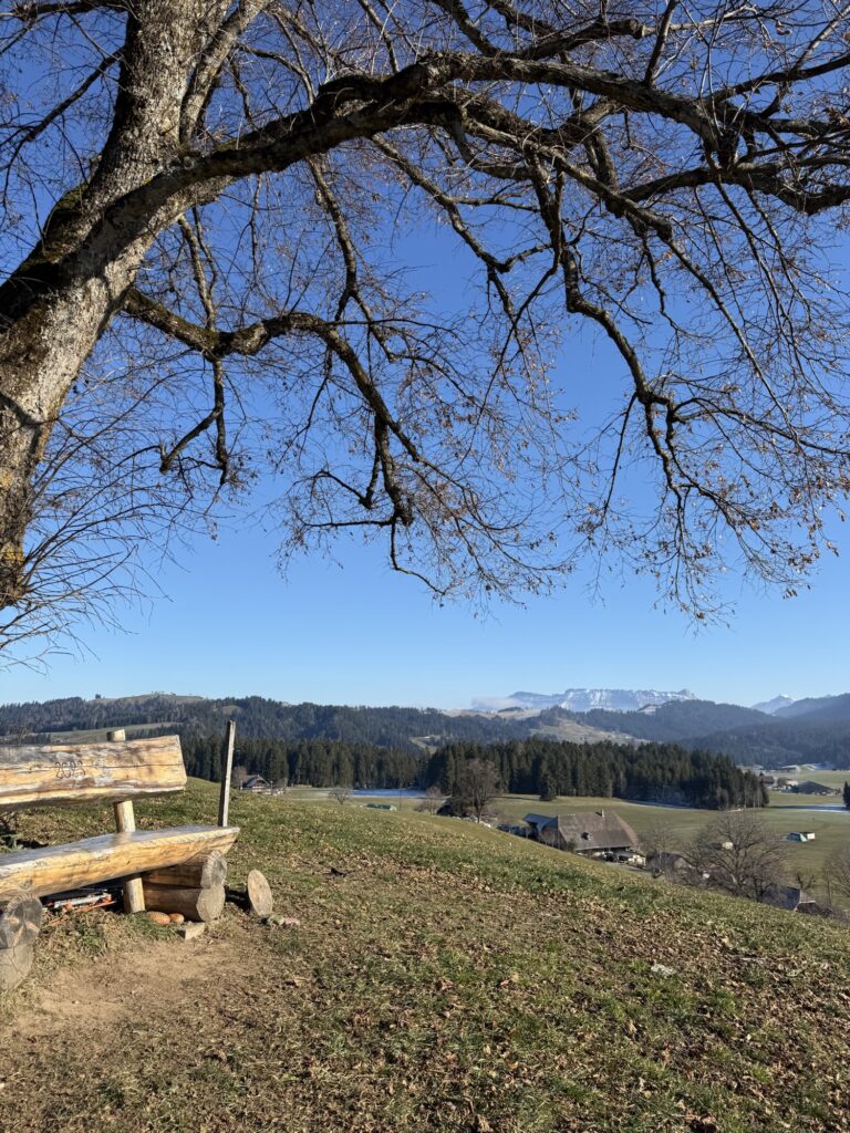 Rastplatz mit Holzbank und Weitblick beim Wandern in Bern – ruhiger Berner Wanderweg mit Alpenpanorama