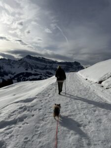 Winterwanderung mit Hund auf der Marbachegg – verschneiter Weg mit Bergpanorama