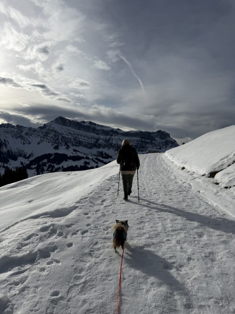Winterwanderung mit Hund auf der Marbachegg – verschneiter Weg mit Bergpanorama