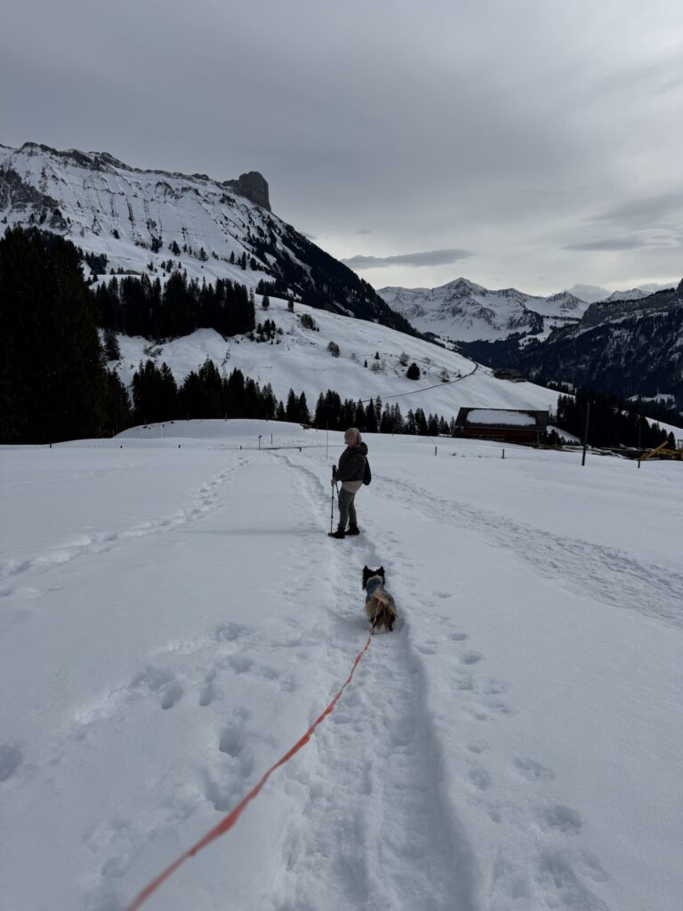 Winterwanderung mit Hund auf der Marbachegg – verschneiter Weg mit Bergpanorama