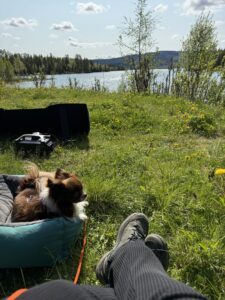 Hund entspannt im Hundebett am Seeufer – Pausen gehören zum Reisen mit Hund