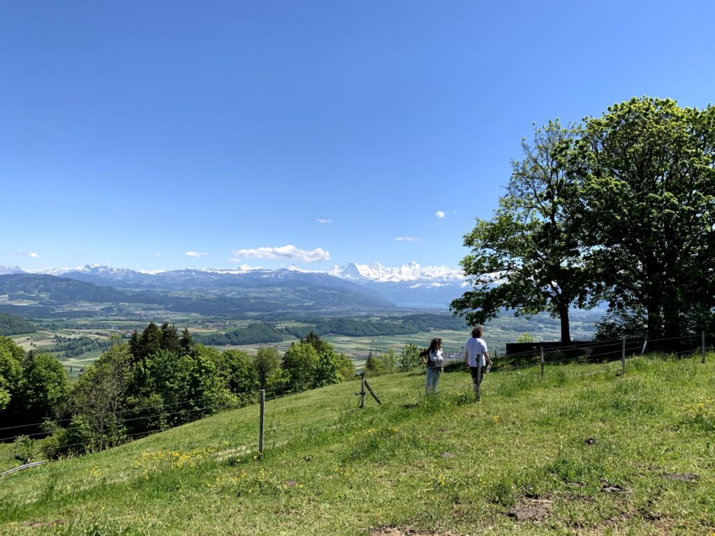 Wanderer geniessen die Aussicht auf die Berner Alpen beim Rundweg Bütschelegg
