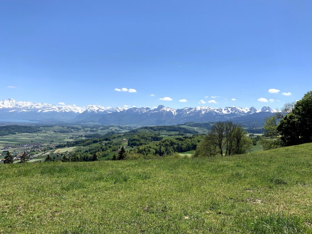 Blühende Obstwiese im Frühling beim Rundweg Bütschelegg