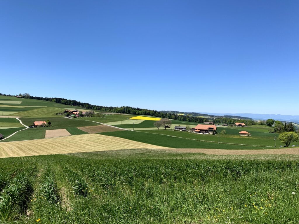 Weite Felder und Bauernhöfe rund um die Bütschelegg im Emmental