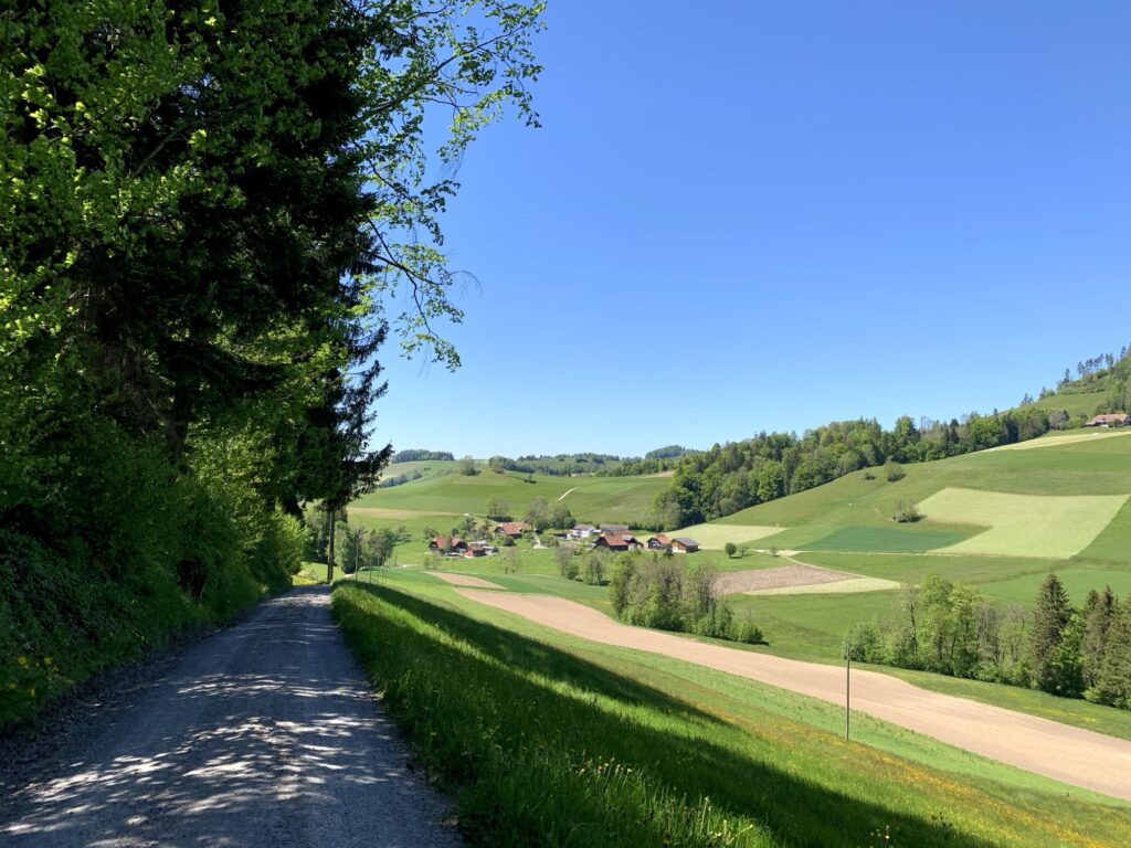 Gravelweg durch sanfte Hügellandschaft beim Rundweg Bütschelegg im Emmental