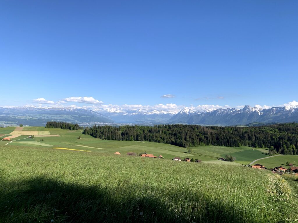 Panorama mit Alpenblick vom Rundweg Bütschelegg bei klarem Wetter