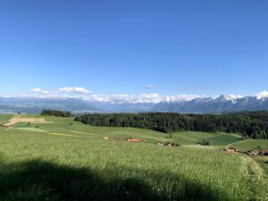 Panorama mit Alpenblick vom Rundweg Bütschelegg bei klarem Wetter