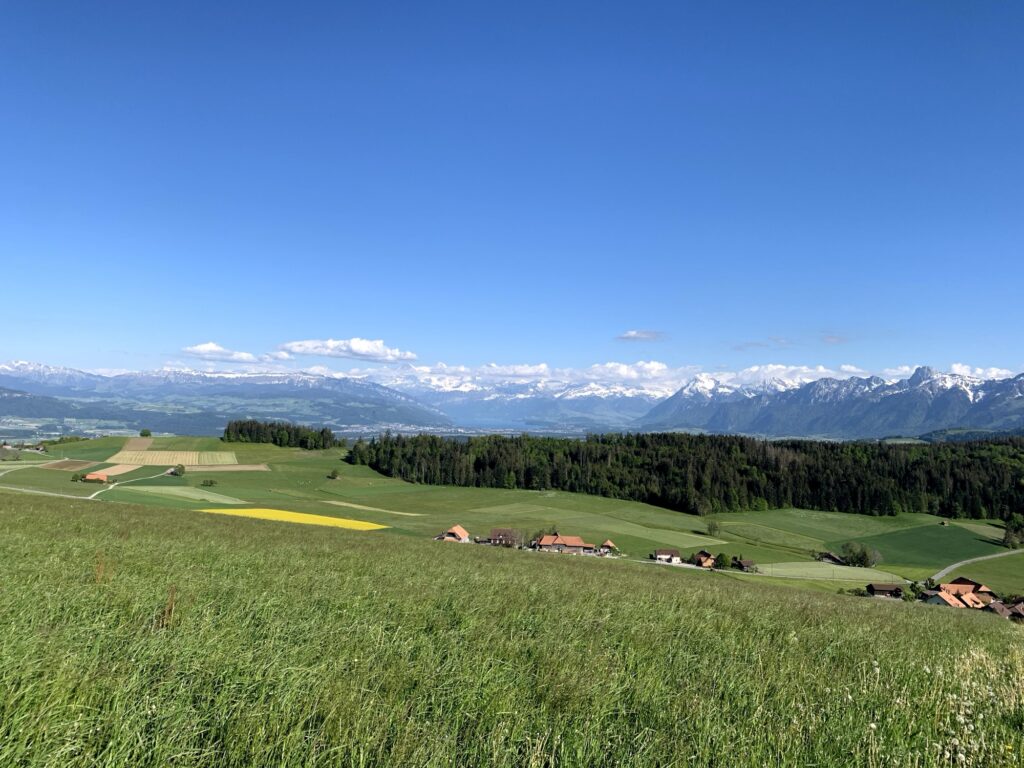 Alpenblick mit grünen Hügeln und Bauernhöfen beim Rundweg Bütschelegg