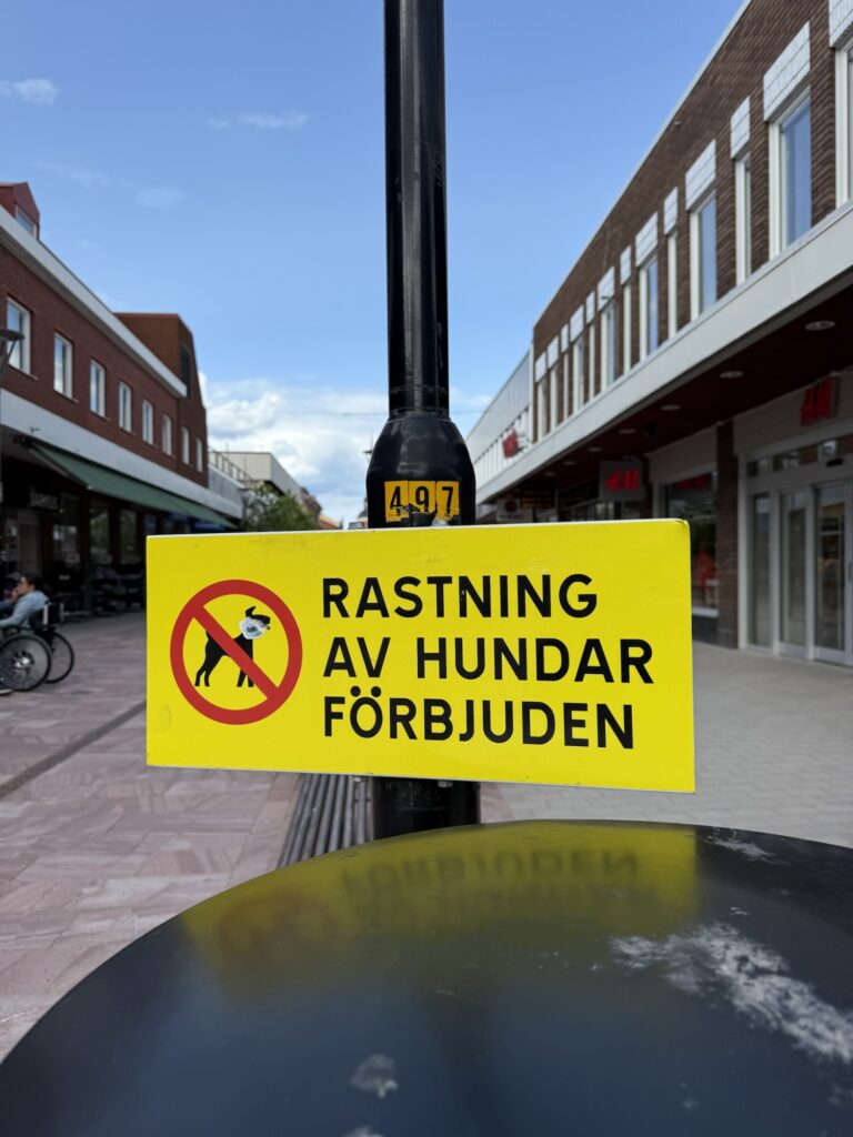 Schild mit Hundeverbot in der Stadt – Reisen mit Hund bedeutet Einschränkungen akzeptieren