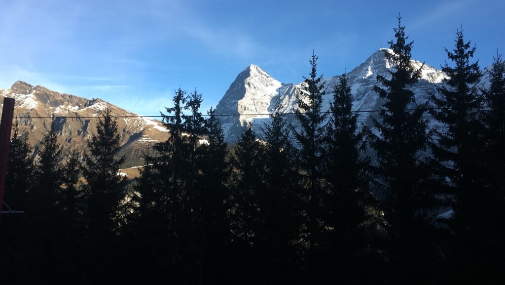 Winterlicher Bergwald oberhalb von Lauterbrunnen mit freiem Blick auf die schneebedeckten Gipfel der Berner Alpen