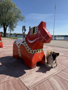 Hund steht neben einer roten Dalapferd-Skulptur am See – Reisen mit Hund in Schweden