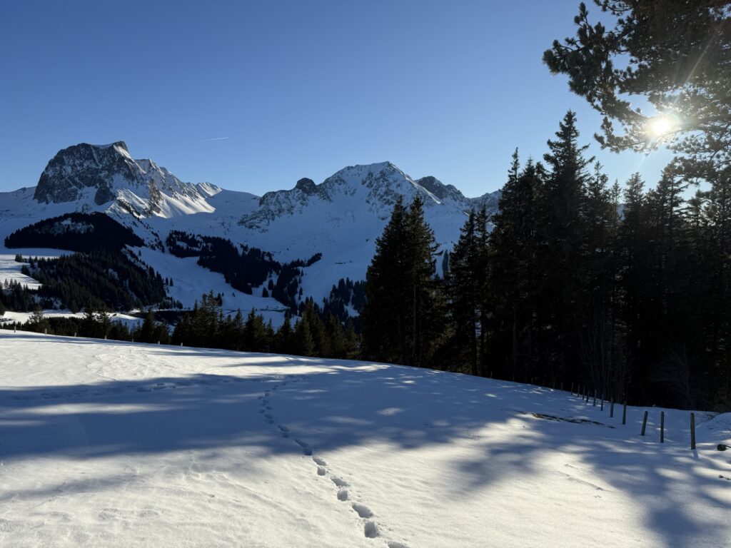 Verschneite Alpweide mit Fussspuren im Schnee und weiter Blick auf winterliche Berglandschaft der Schweizer Alpen