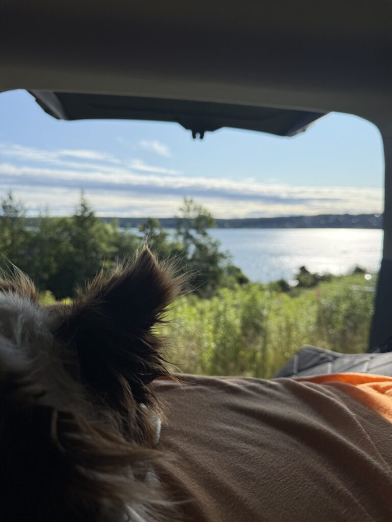 Hund liegt im Camperbett mit Blick auf einen See – Vanlife mit Hund und ruhige Morgen