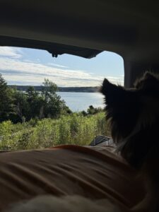 Hund schaut aus dem Camper auf einen See – Reisen mit Hund und langsame Momente