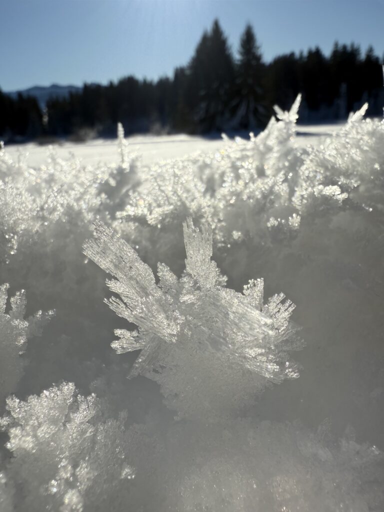 Glitzernde Eiskristalle im Sonnenlicht entlang eines Winterwanderwegs in Bern