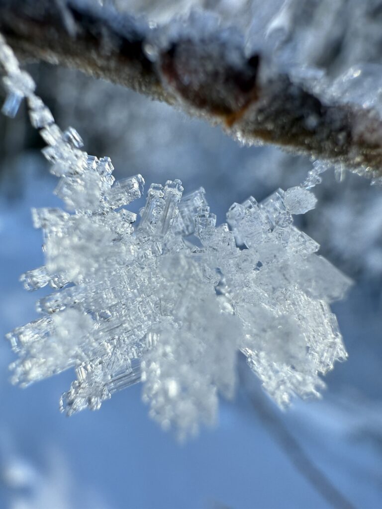 Makroaufnahme von Eiskristallen in der Winterlandschaft – Naturdetails beim Wandern in der Schweiz
