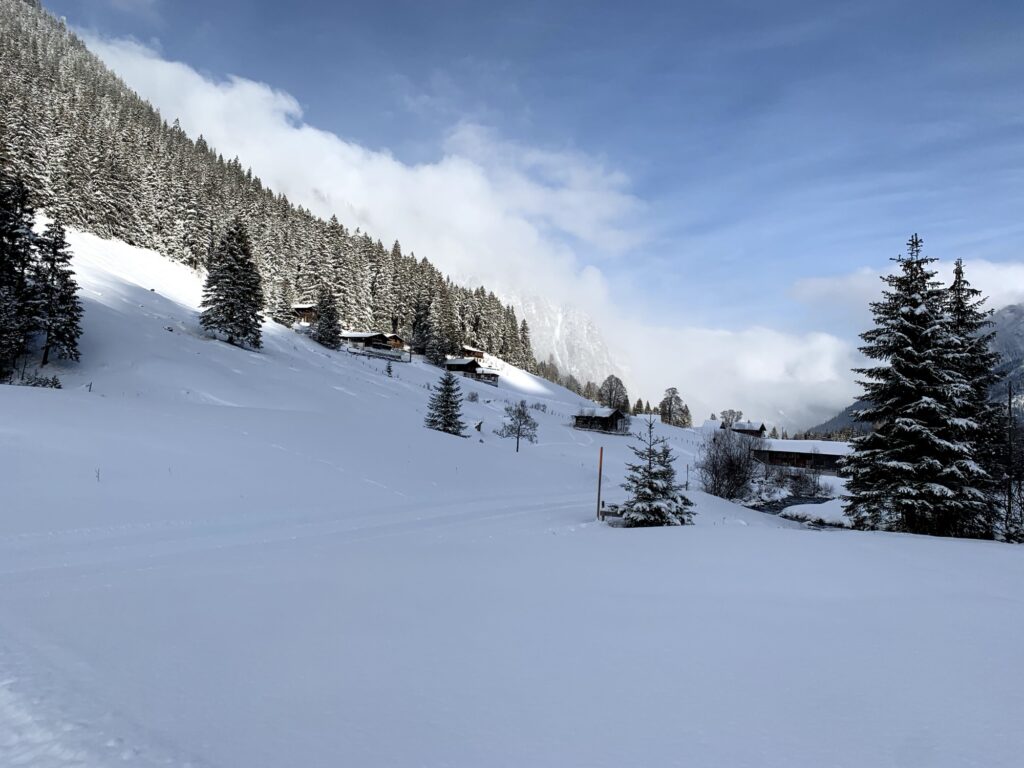 Winterwanderung Grimmialp mit verschneiten Tannen und sanften Hügeln