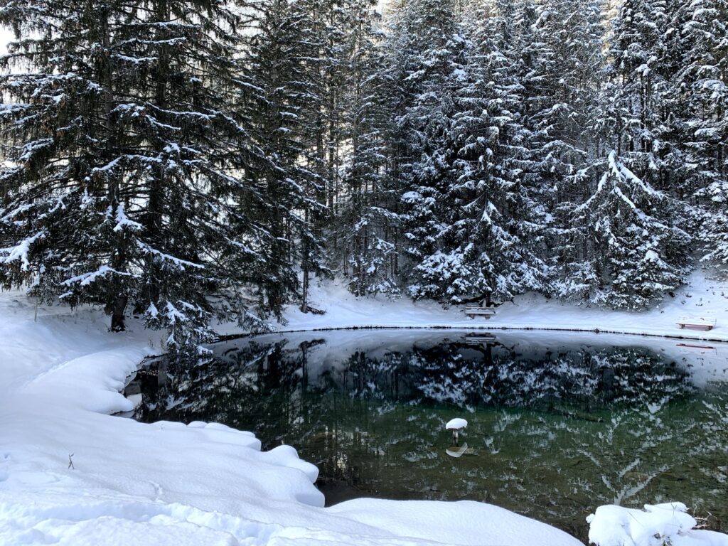 Blauseeli auf der Grimmialp im Winter mit schneebedeckten Bäumen und ruhiger Atmosphäre
