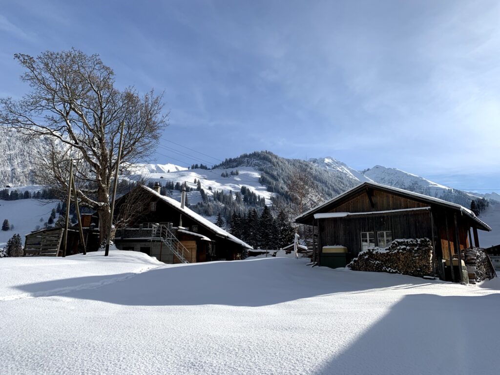 Winterwanderweg auf der Grimmialp mit Blick auf Bergdorf und umliegende Alpen