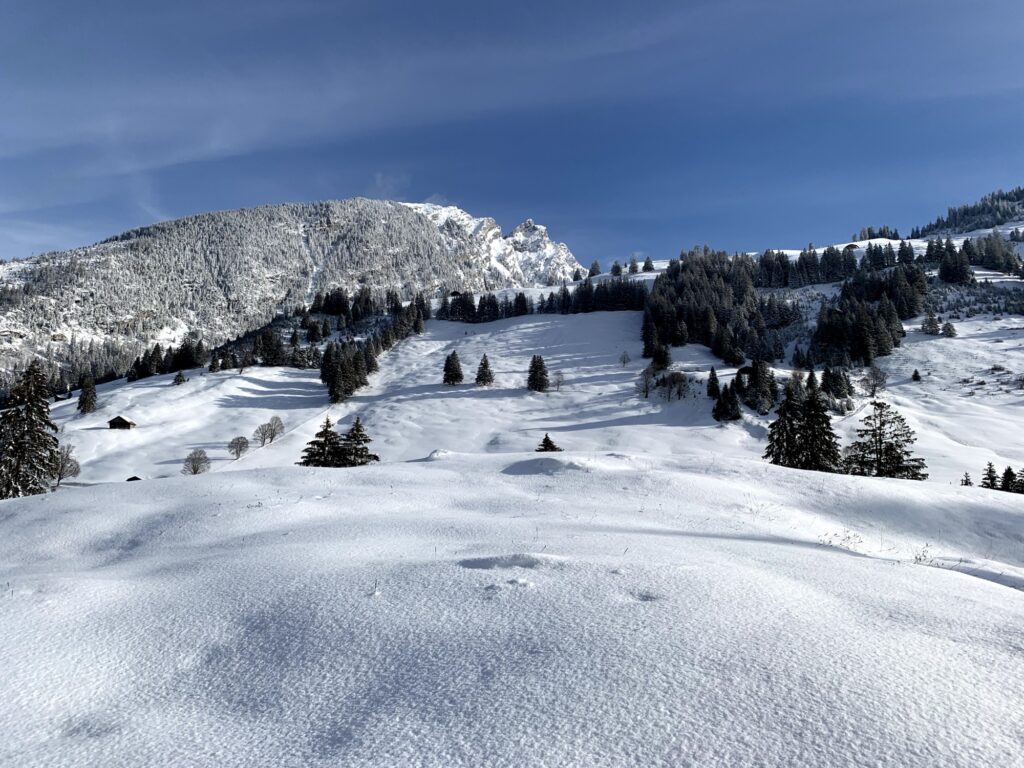 Winterwanderweg durch offene Schneelandschaft auf der Grimmialp mit Bergblick