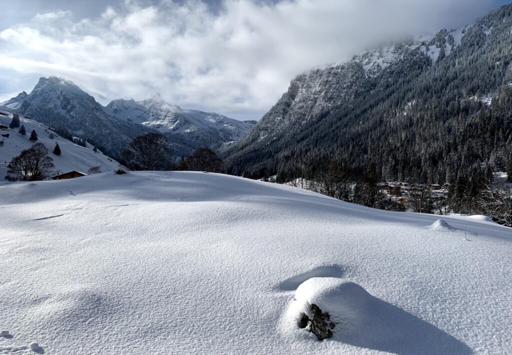 Panoramablick auf die verschneiten Berge rund um die Grimmialp während einer Winterwanderung