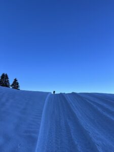 Kleiner Hund steht auf einem verschneiten Hügel, vor ihm ein weiter, tiefblauer Winterhimmel.