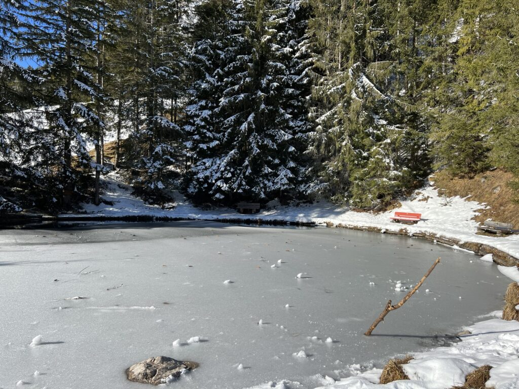 Teilweise zugefrorenes Blauseeli auf der Grimmialp im Winter, umgeben von Tannen und ruhiger Alpenlandschaft