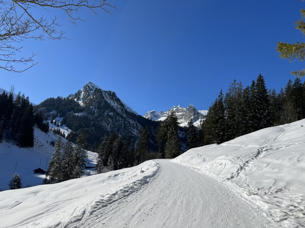 Winterwanderweg im Diemtigtal mit sanften Hügeln, verschneiten Wiesen und Blick auf die umliegenden Berge
