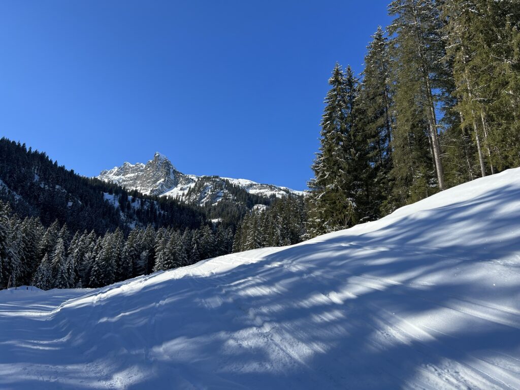 Verschneite Waldhänge im Diemtigtal während einer Winterwanderung auf der Grimmialp