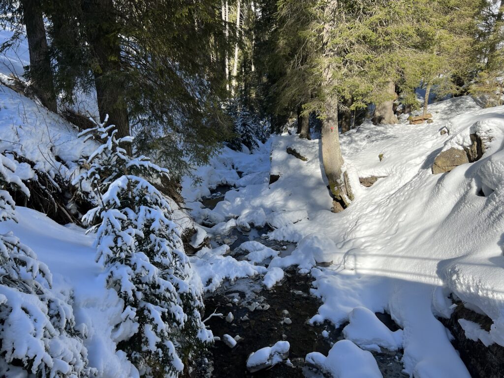 Winterlicher Bergbach im Diemtigtal entlang der Winterwanderung Grimmialp, umgeben von Schnee und Nadelwald