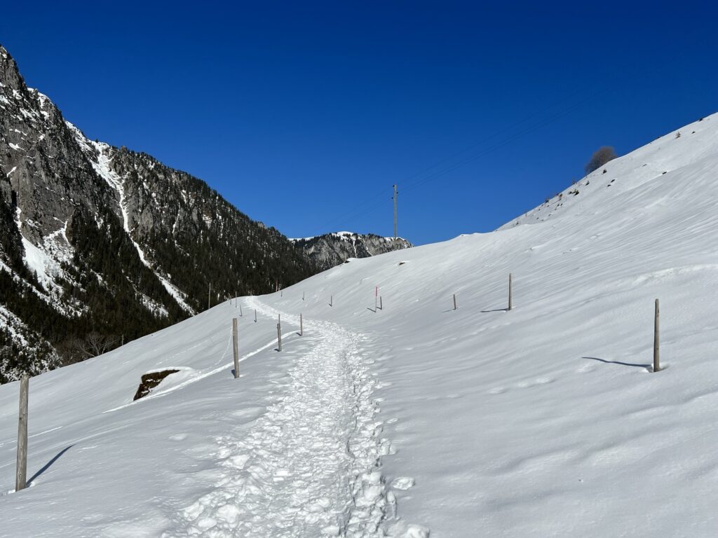 Schmaler Winterwanderweg auf der Grimmialp im Diemtigtal durch offene Schneelandschaft mit Blick auf die Berge