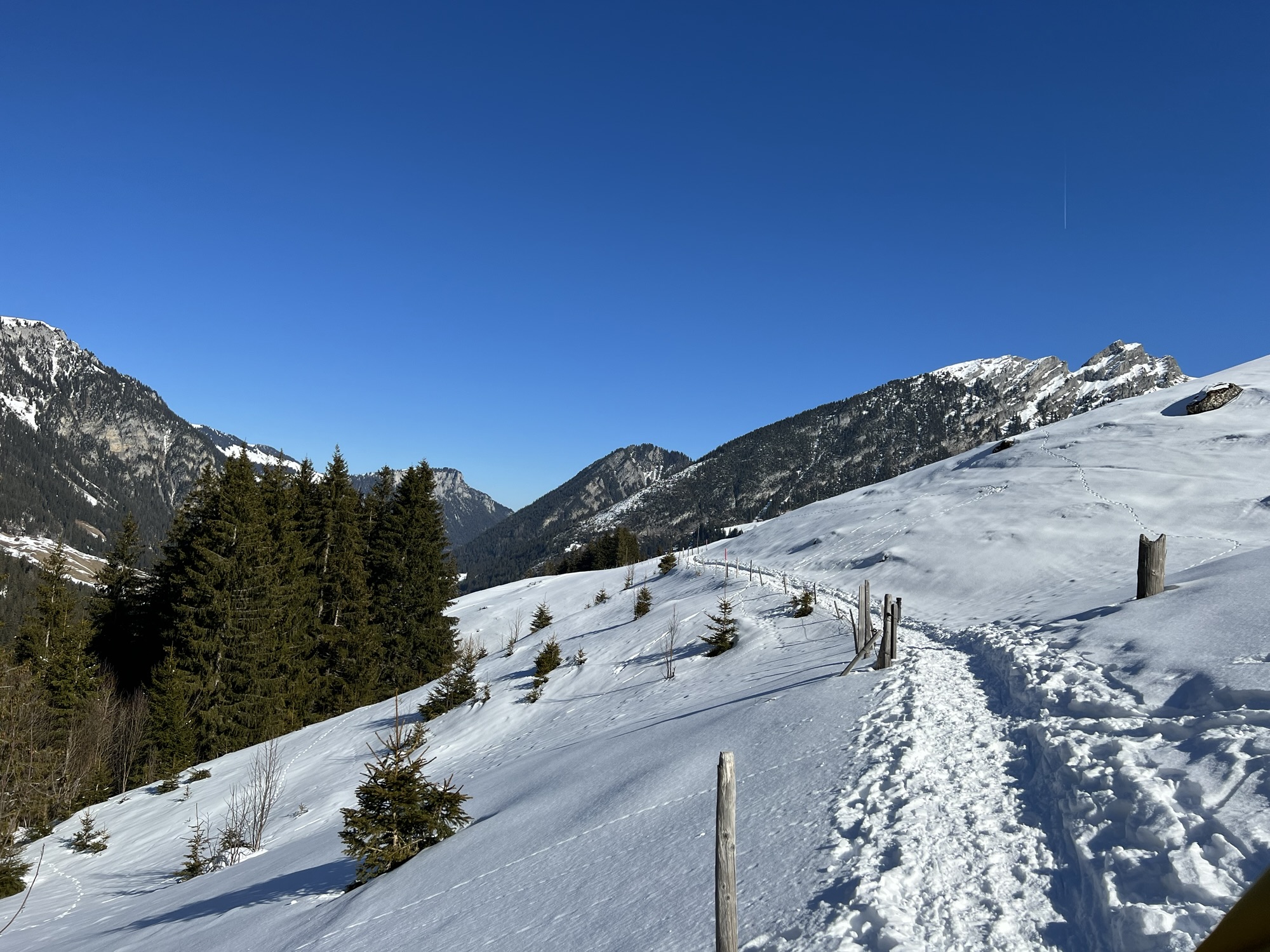 Winterwanderweg auf der Grimmialp im Diemtigtal mit frischer Spur durch verschneite Alpwiesen und Blick auf die umliegende Berglandschaft