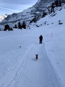 Winterwanderung mit Hund auf dem Weg zur Kleinen Scheidegg