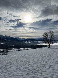 Winterliche Hügellandschaft mit Blick auf die Berner Alpen beim Wandern in Bern – ruhiger Berner Wanderweg im Schnee