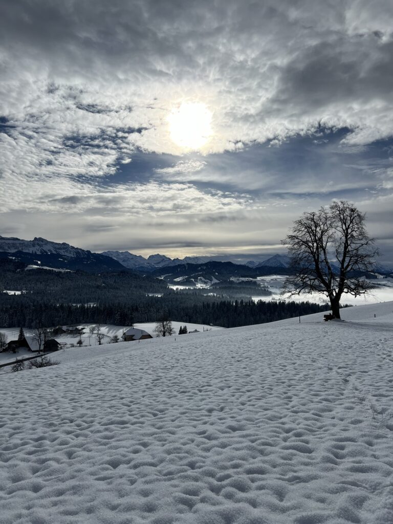 Verschneite Hügellandschaft mit Blick auf die Berner Alpen – entschleunigtes Wandern in der Schweiz auf einem Berner Wanderweg